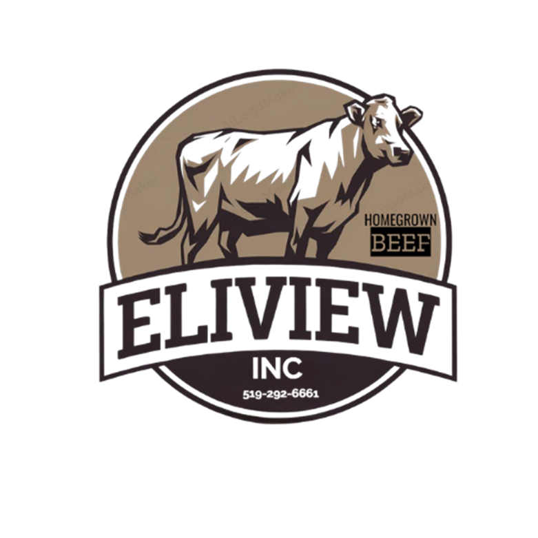 Eliview Inc.